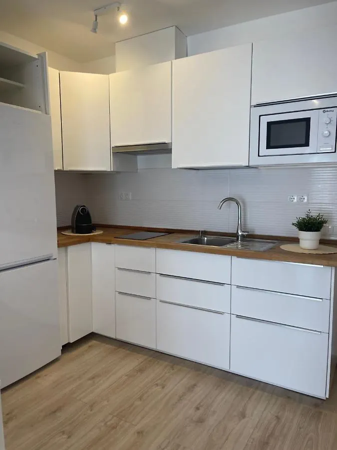Lovely Victoria Apartment Malaga 0*,